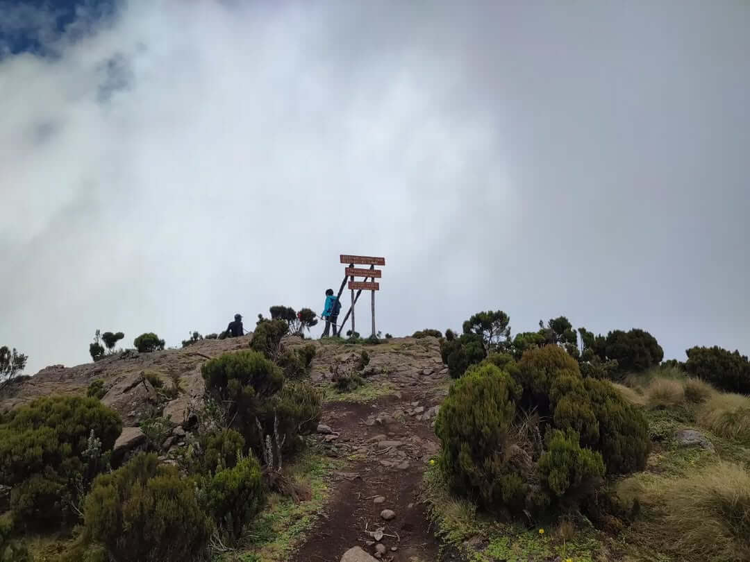 4-Day Aberdare Hiking & Ol Pejeta Wildlife