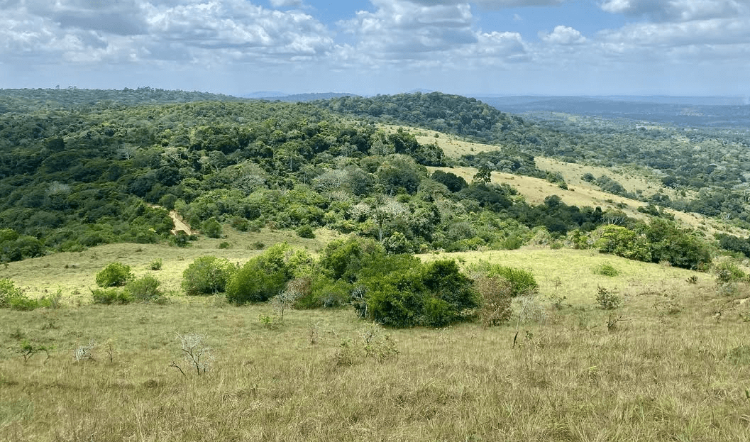 Shimba Hills National Reserve
