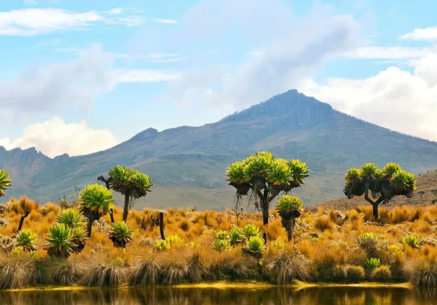 Mount Elgon National Park