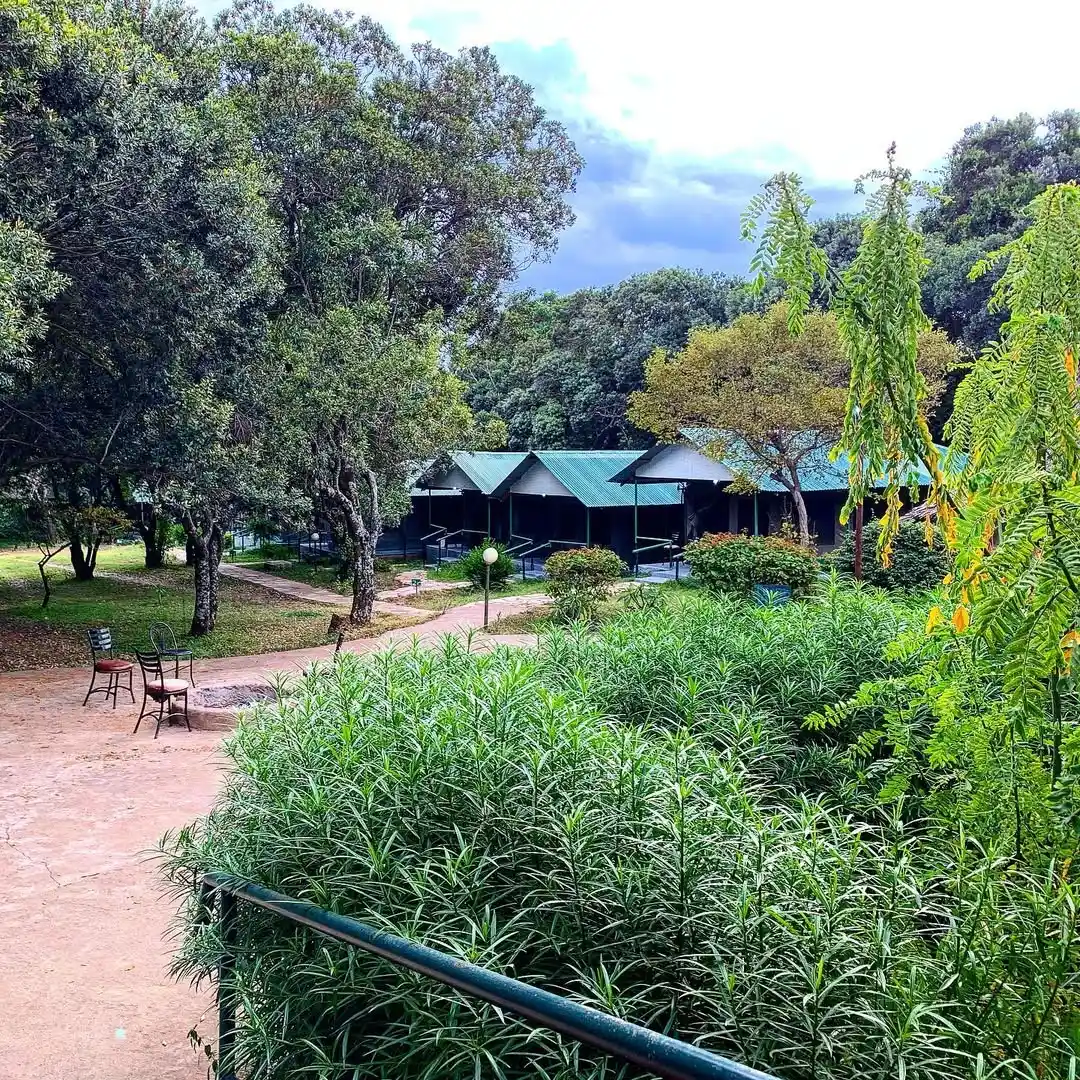 Miti Mingi Eco Camp