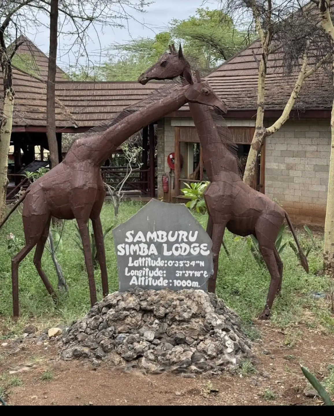 Samburu Simba Lodge