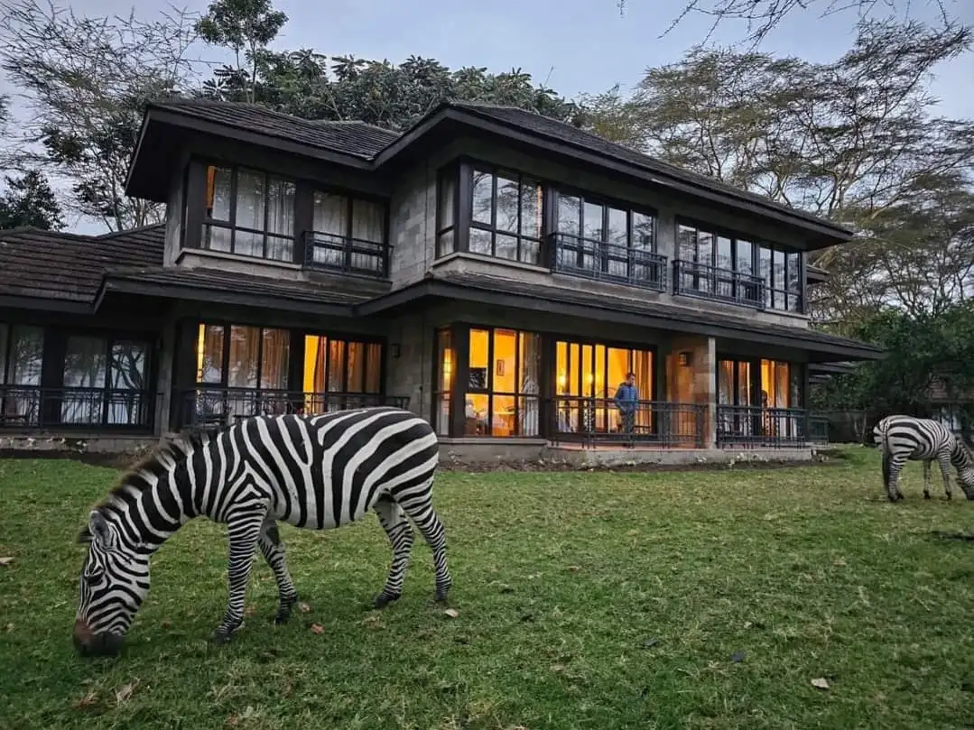 Lake Naivasha Simba Lodge