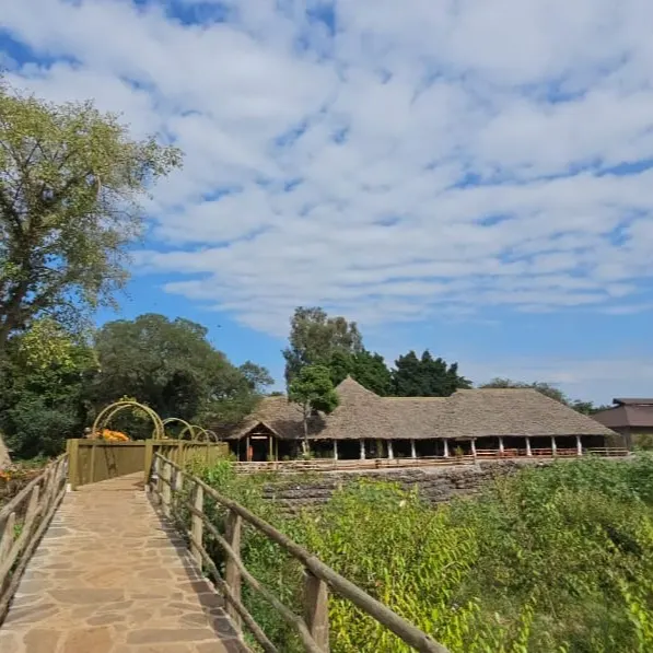 Fig Tree Camp