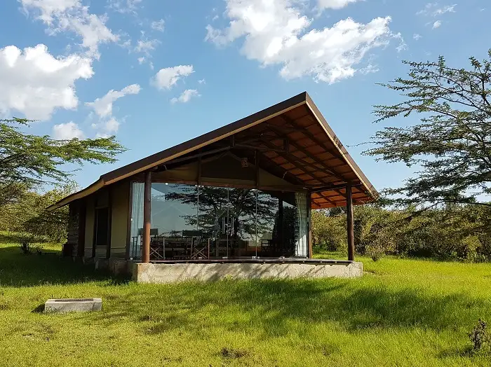 Simba + Oryx Nature Camp