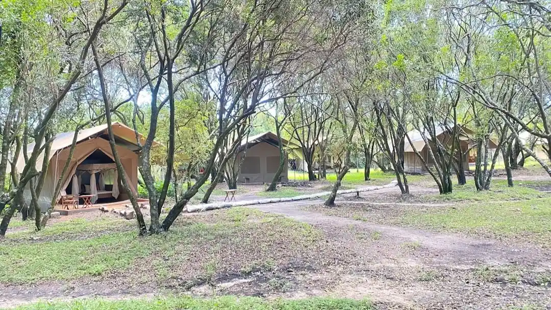 Enchoro Wildlife Camp