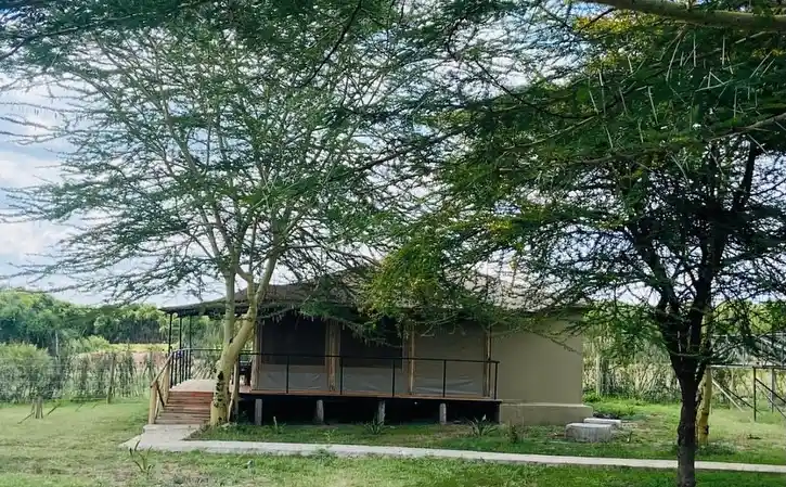 Mara Sweet Acacia Lodge