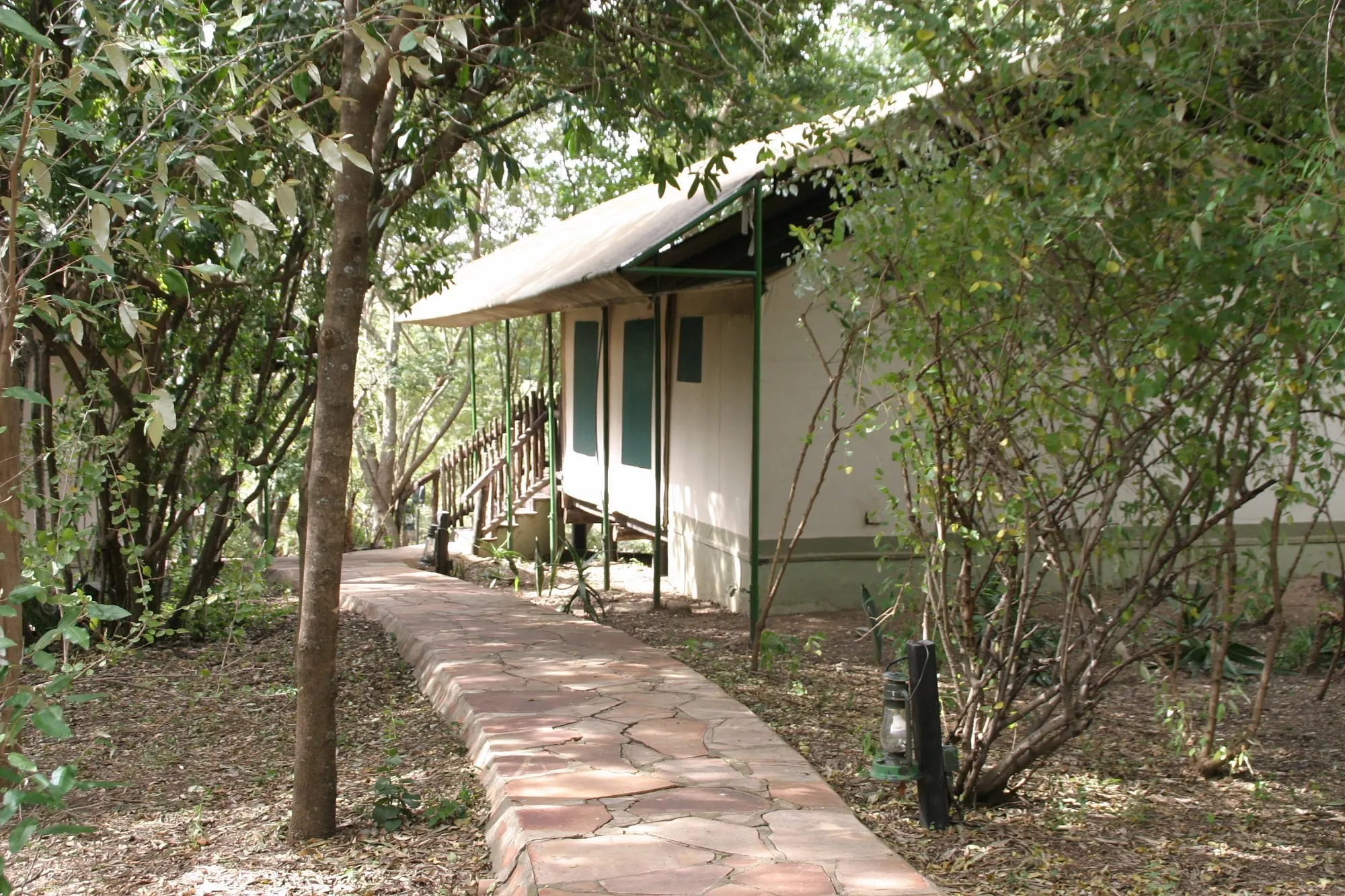 Mara Simba Lodge