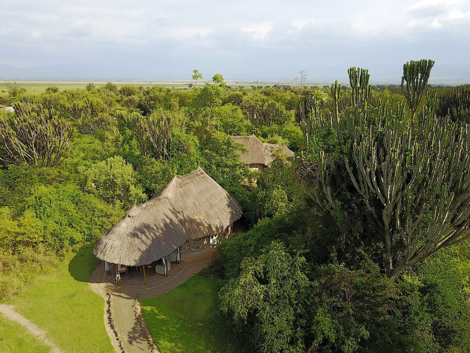 Mbweha Camp