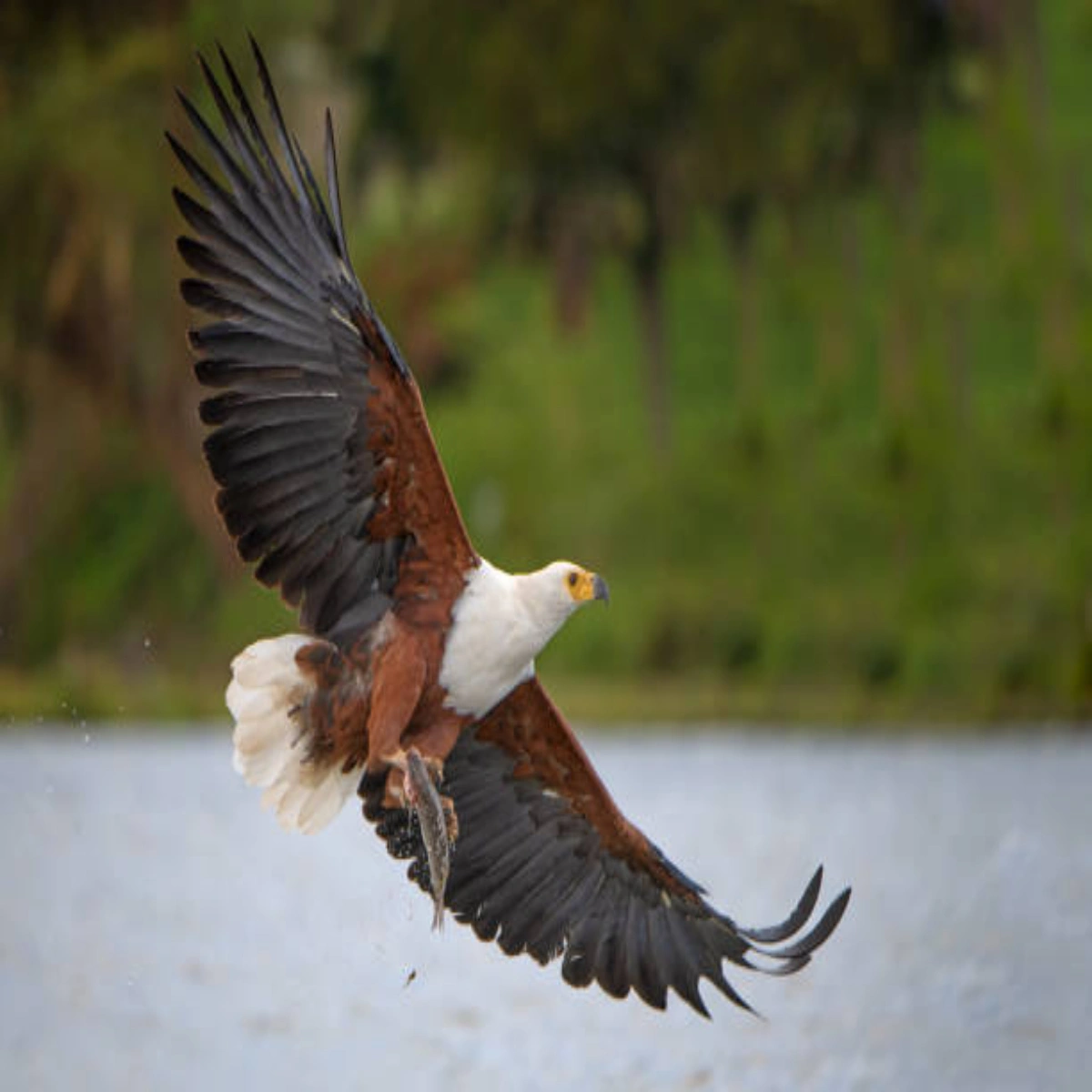 9-Day September Kenya Teen Wildlife Adventure