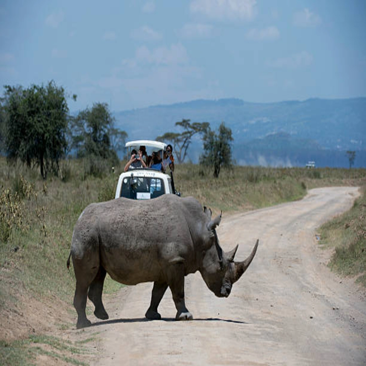 7-Day October Kenya Wildlife Value Safari
