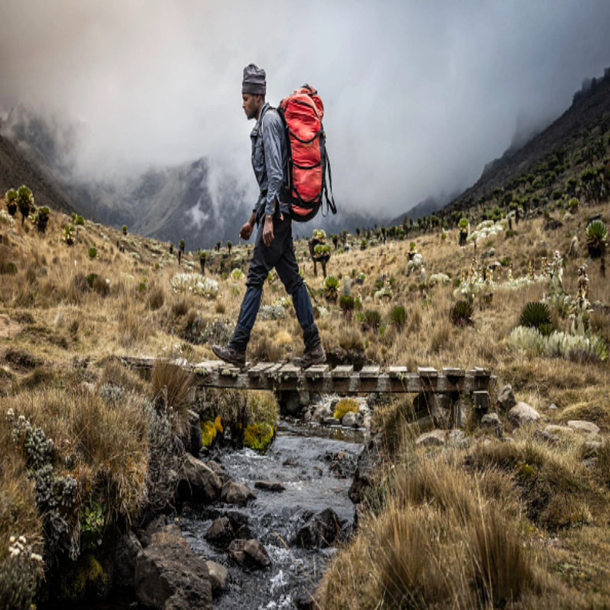 5-Day January Mount Kenya Sirimon Trek