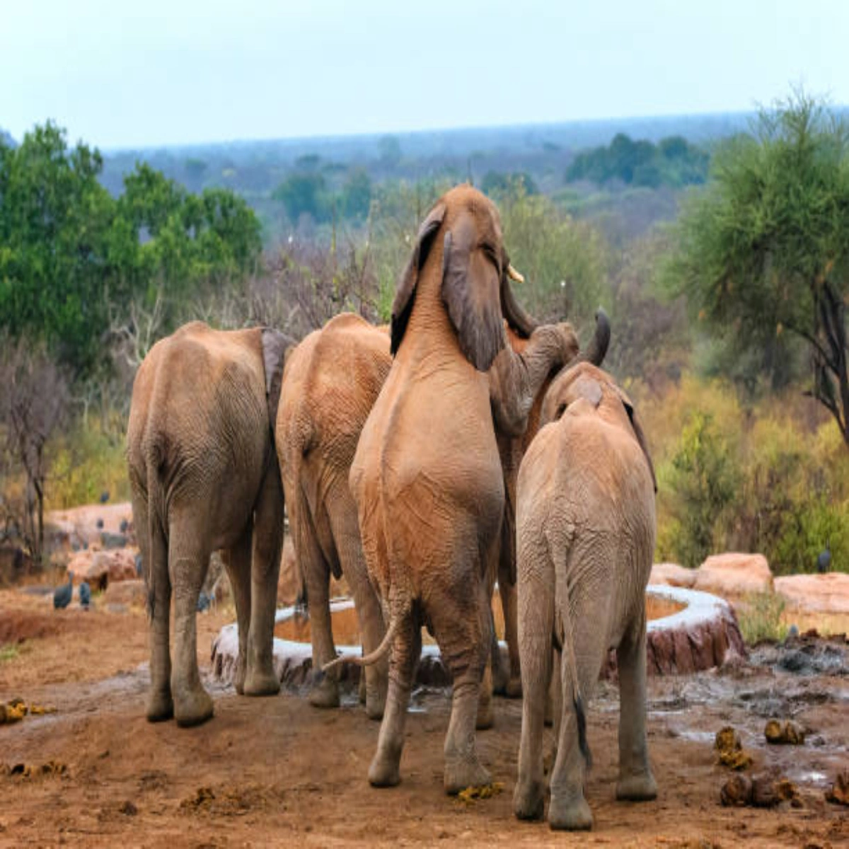 9-Day October Kenya Safari and Diani Beach Holiday