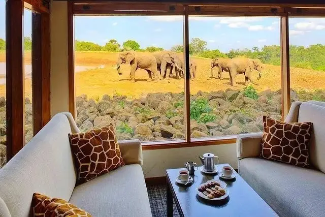 The Ark Lodge
