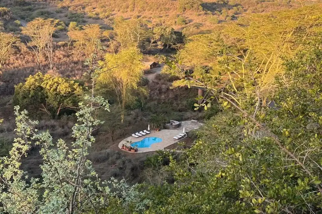 The Emakoko