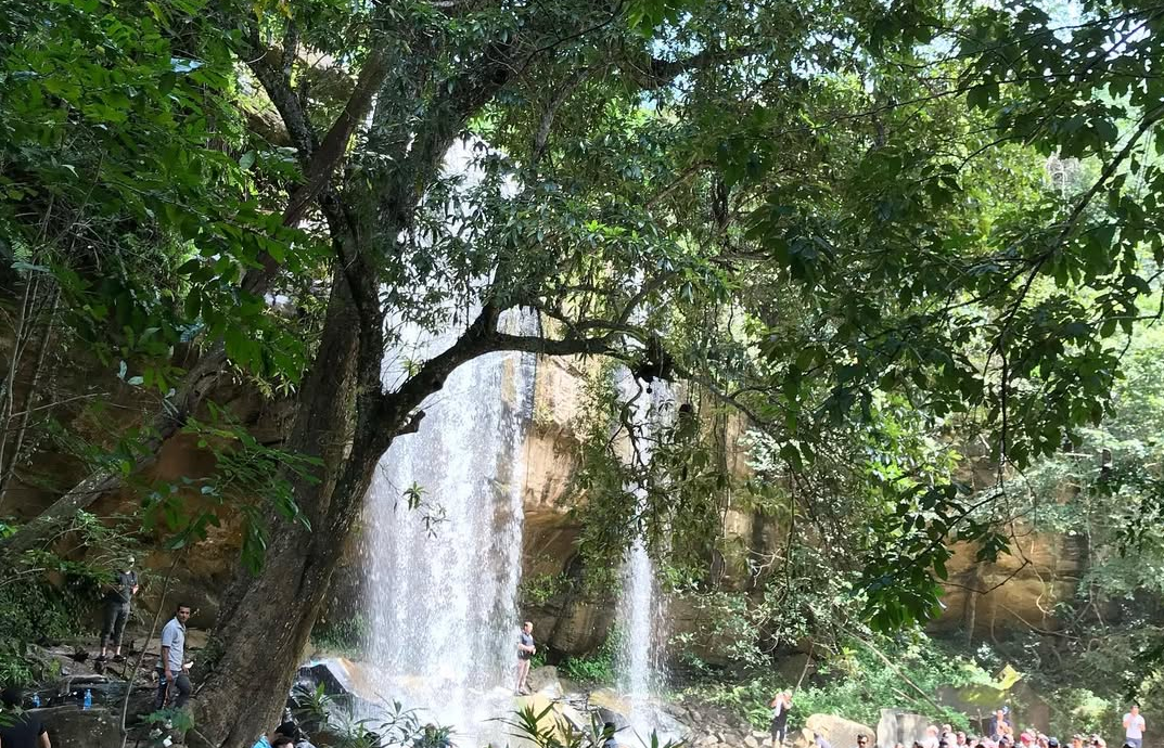 Shimba Hills Green Safari Lodge