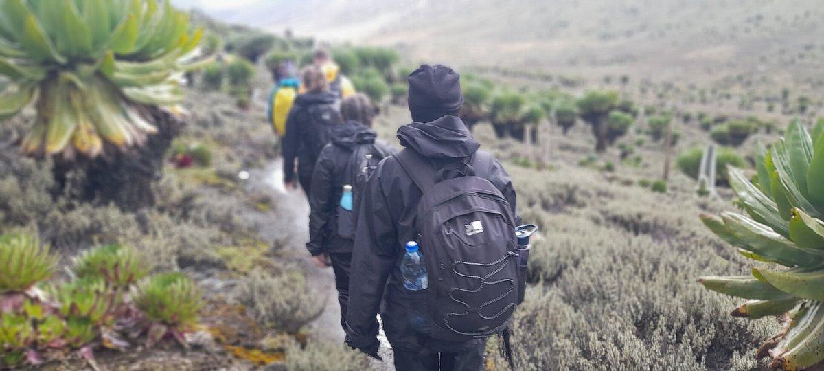 Mount Kenya Gear List for Renting versus Bringing