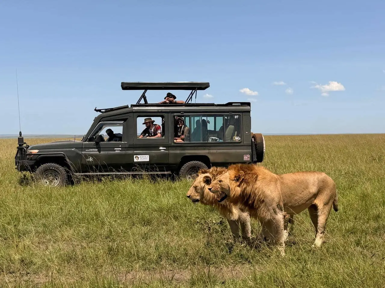 Group-Joining Safari Options for UK Solo Travellers in Kenya