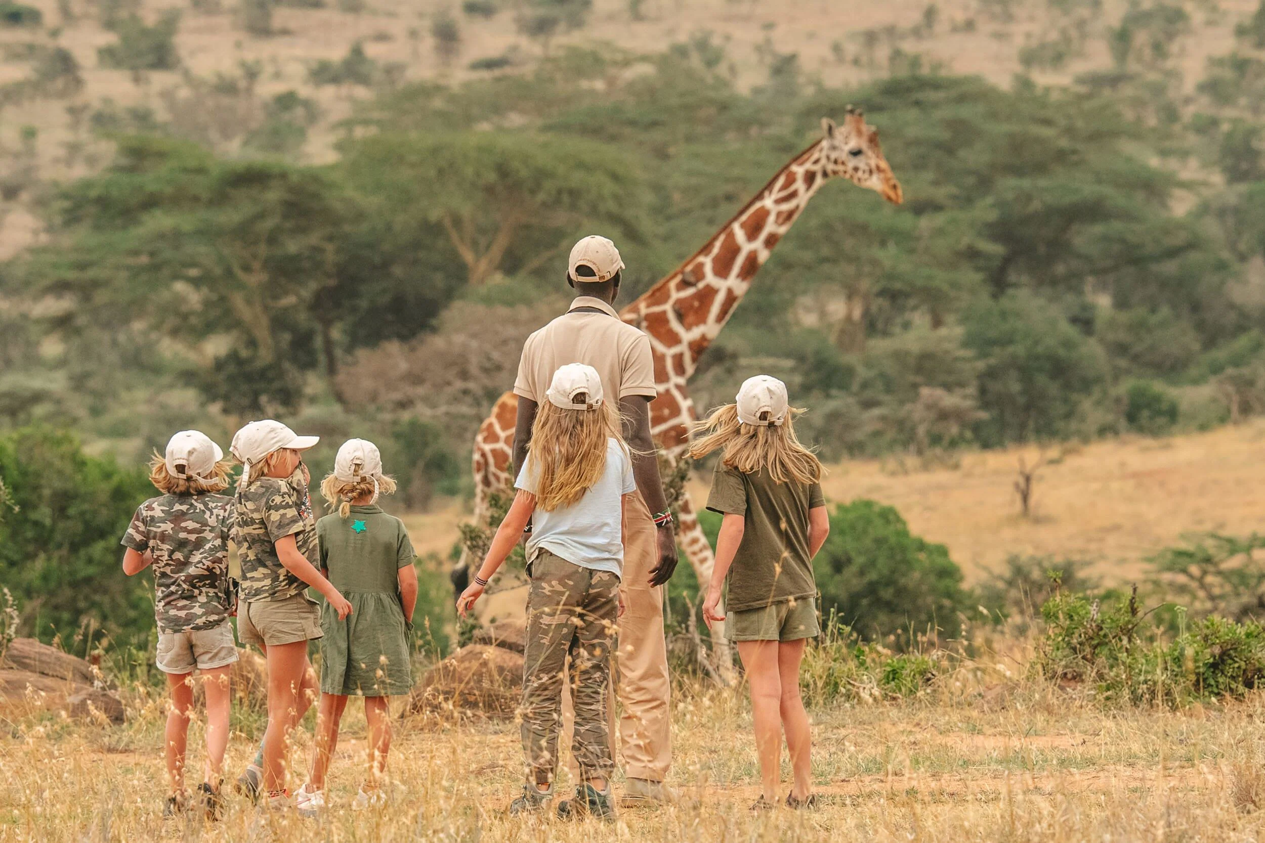 Securing Budget Kenya Safari Holiday During the July Peak Season