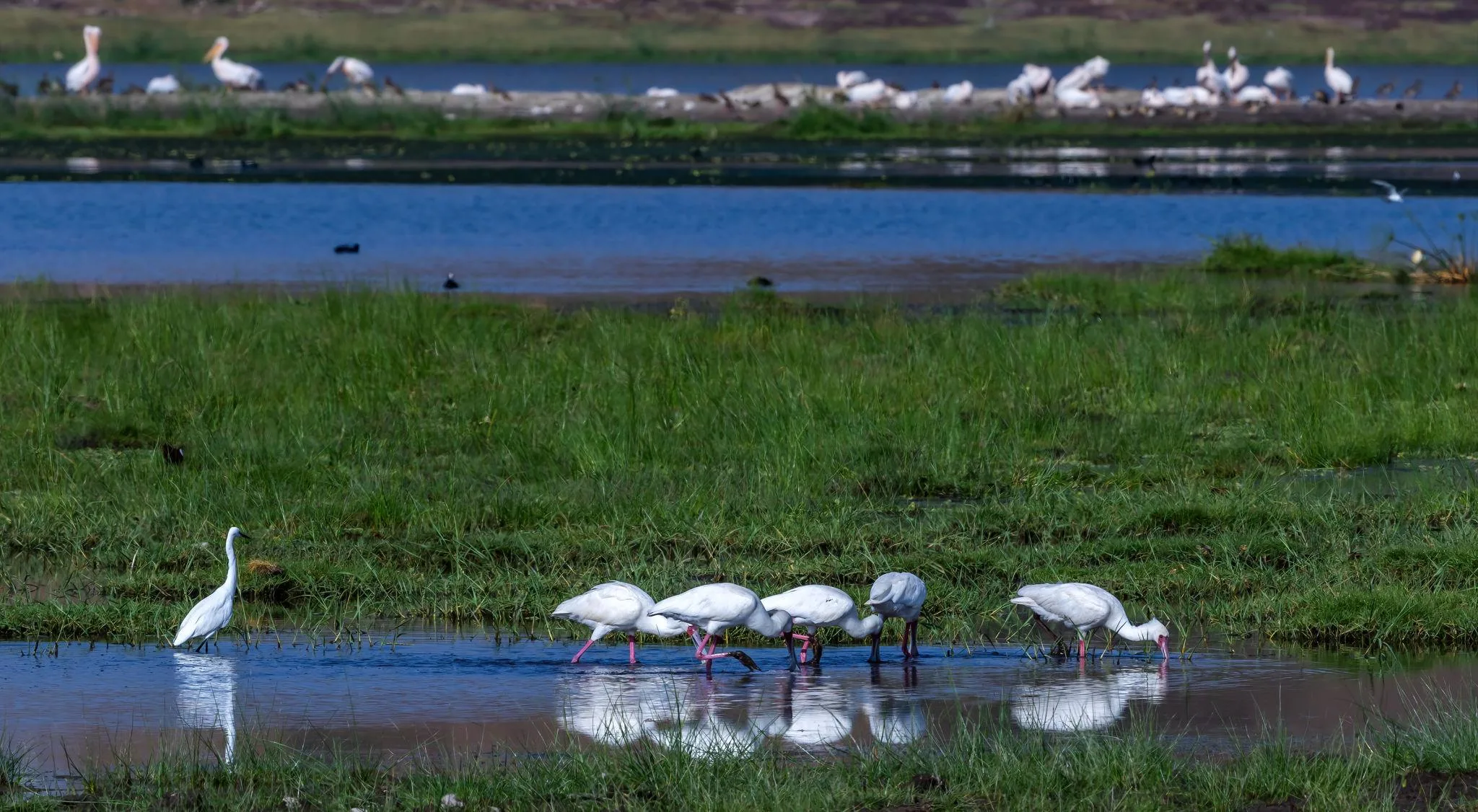 Impact of the Kenya Rainy Season on Safari Itineraries